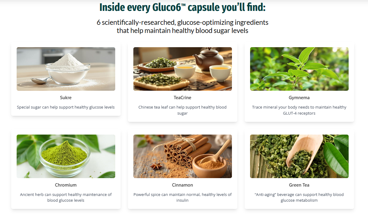 Gluco6 Ingredients